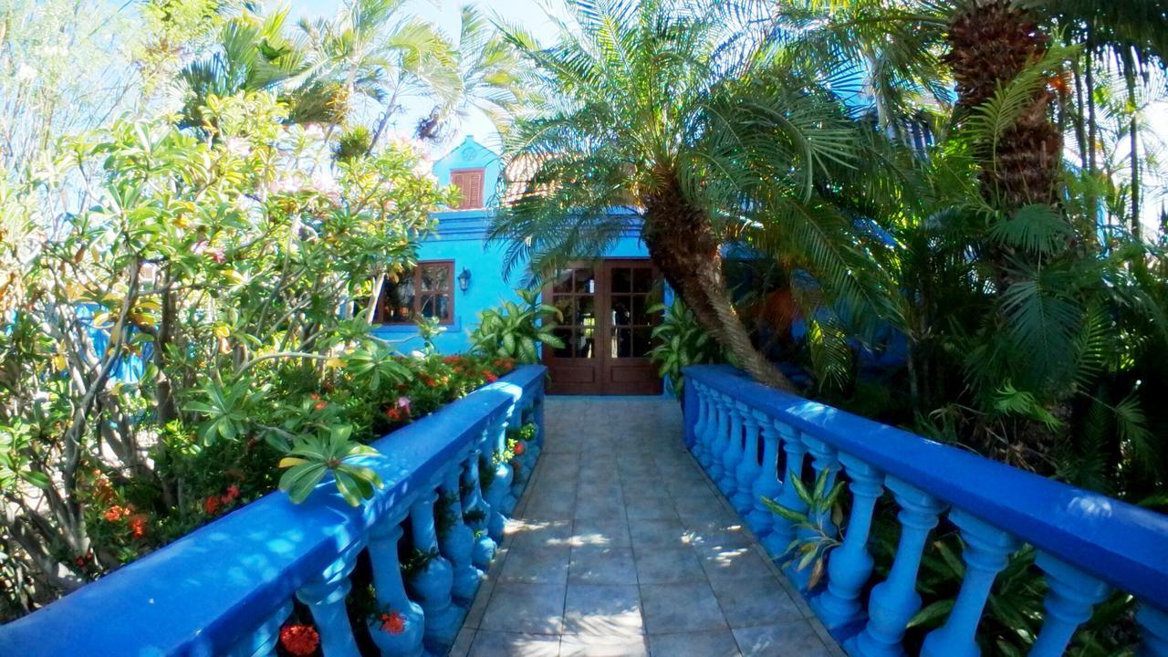 De Cuba Bed & Breakfast Noord Bagian luar foto
