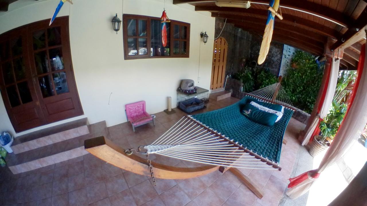 De Cuba Bed & Breakfast Noord Bagian luar foto